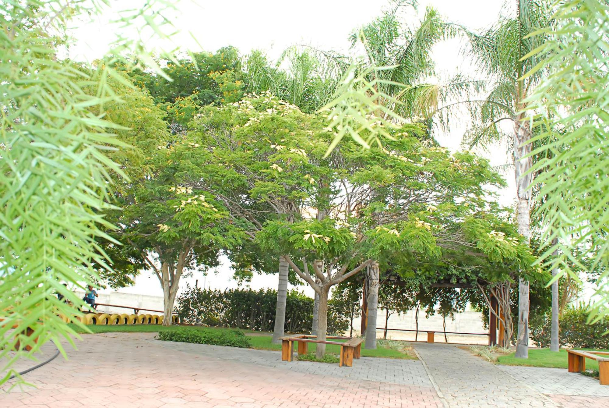 Hotel Flor Da Chapada Itaberaba Buitenkant foto